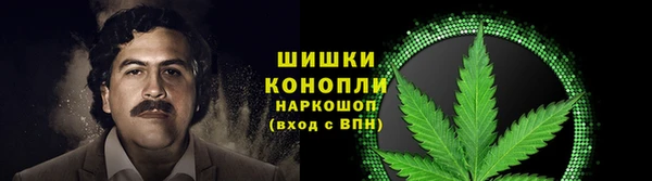 ALPHA PVP Покров