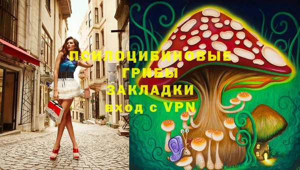 ALPHA PVP Покров