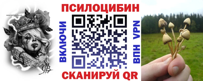 Галлюциногенные грибы мухоморы  где купить наркотик  Красавино 